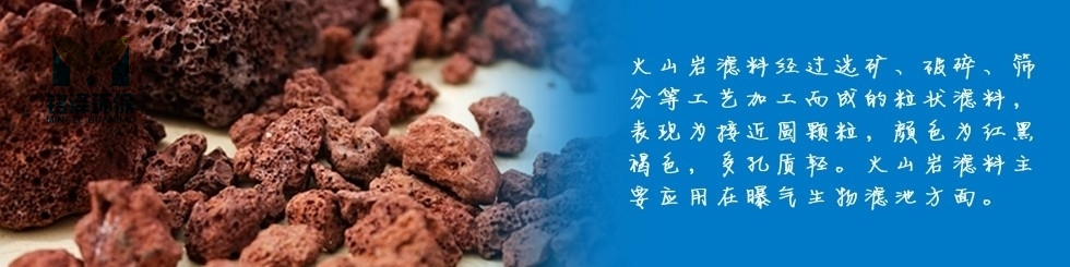 進(jìn)口閥門(mén)